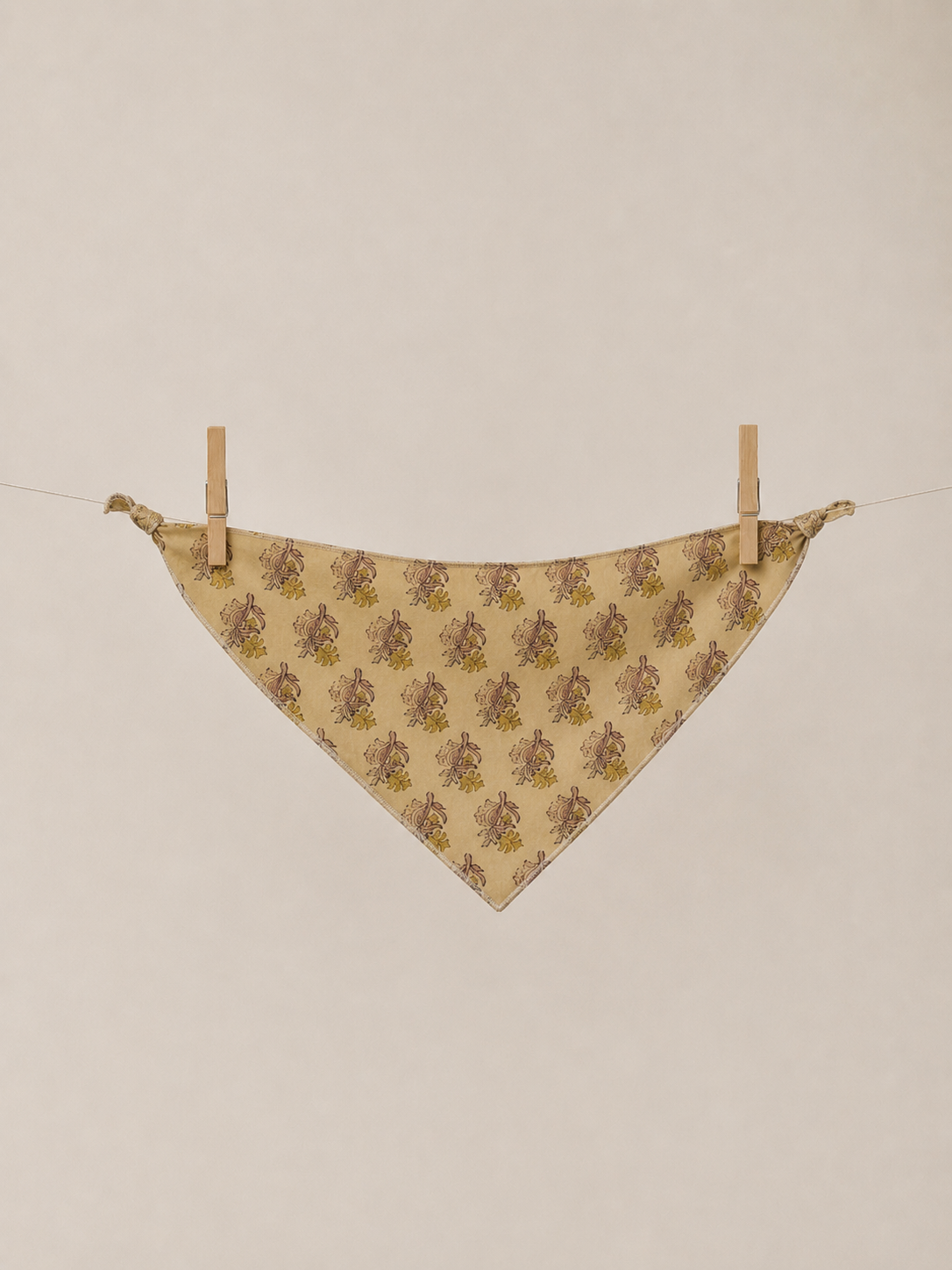 Bandana Bebé Curry